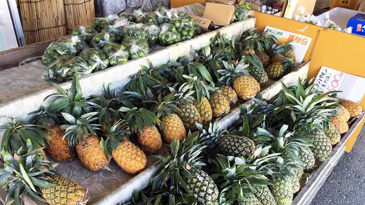 近隣の食料品店と死亡リスクの関係